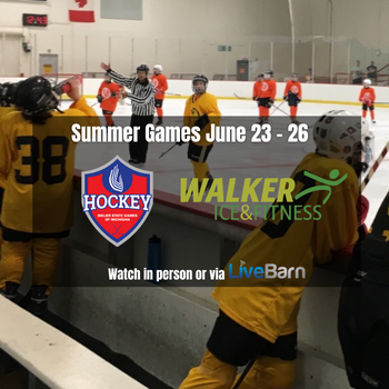 Children playing hockey