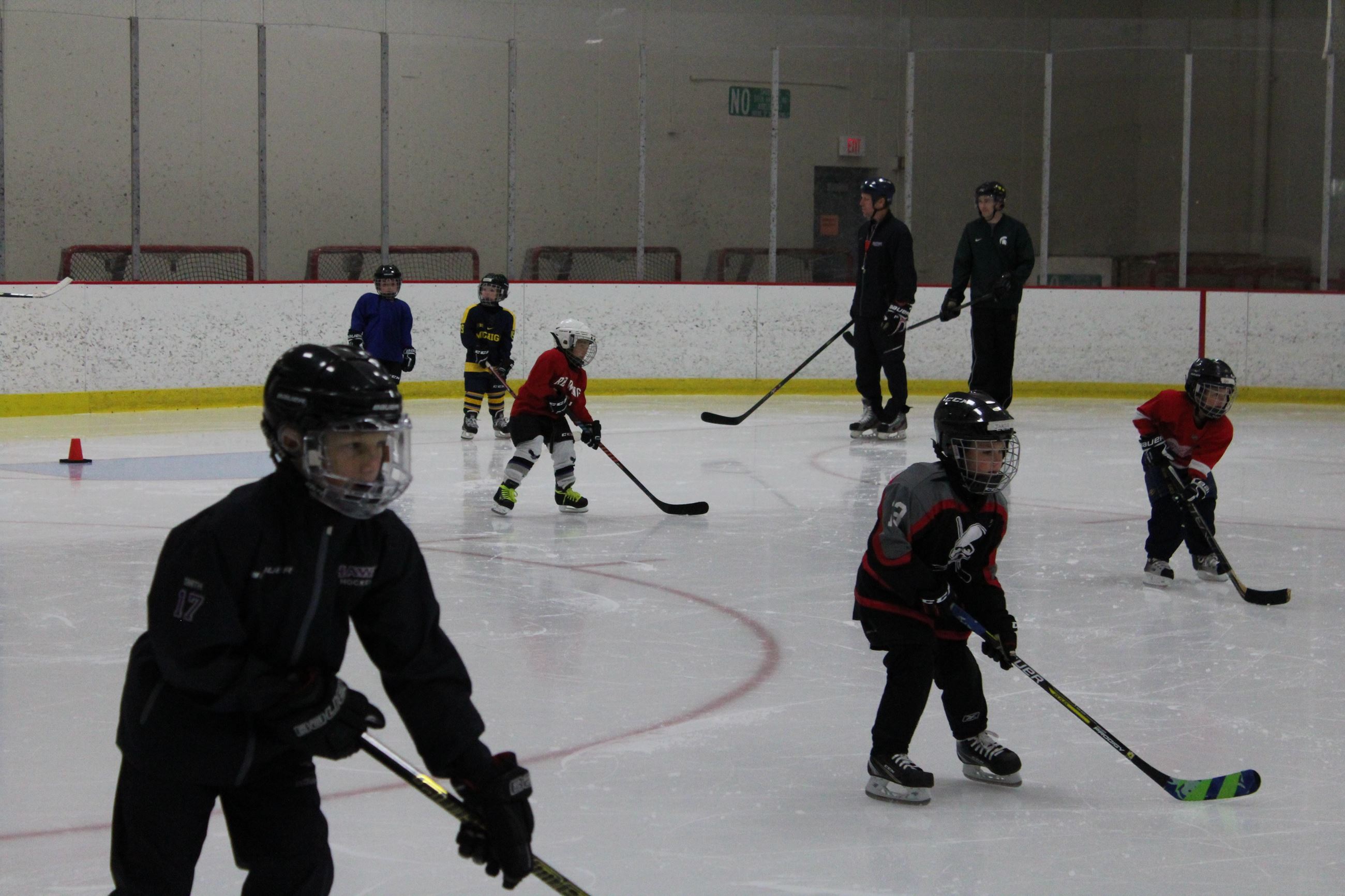 Learn to Play Hockey surge